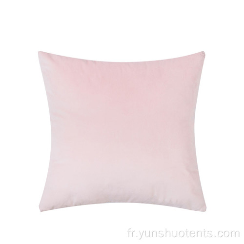 Coussin de canapé d&#39;intérieur en velours d&#39;oreiller de photographie